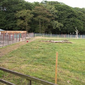 Bongo enclosure : Whipsnade : 01 Aug 2014