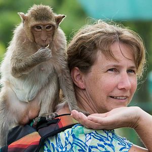 Crab Eating Macaques at Sarn Phra Karn Lopburi with my son