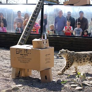 Enrichment for Pavan.