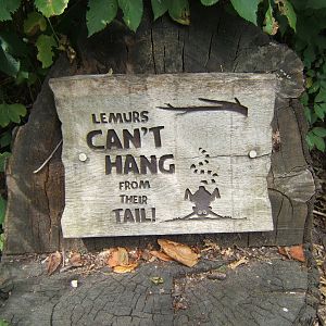 Sign in Lemur walk-trough