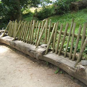 Seat with a difference in the Lemur walk-through