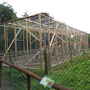 New Serval enclosure