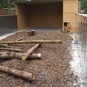 New Meerkat enclosure