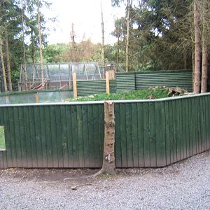 View of viewing for Asian Short-clawed Otter