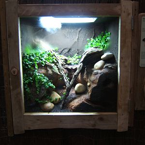 New exhibit in Islands in Danger