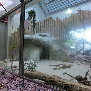 fennec fox enclosure - Karlsruhe Zoo