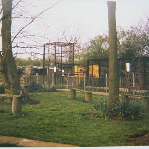 Basildon Zoo (Closed). April 1989.