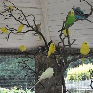 And there they are, 1st August 2014