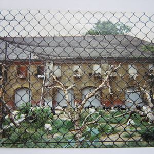 Abdim`s Stork colony and African Spoonbills.