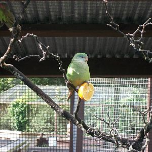 Recreating another classic British television advertisement, 3rd August 201