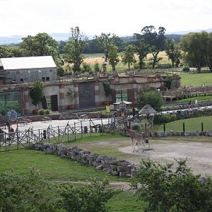 Setting off above the Rothschild's Giraffe and Addax paddock, 4th August 20
