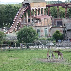 Looking back at the Lion House, 4th August 2014