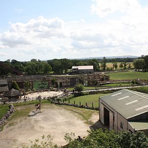Two Giraffe Houses on one photograph, 4th August 2014