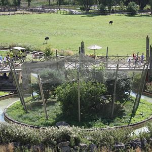 Lost Kingdom Aviary, 4th August 2014