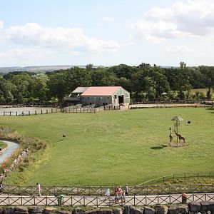 Lost Kingdom paddock, 4th August 2014