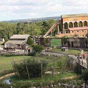 Looking back in close-up, 4th August 2014