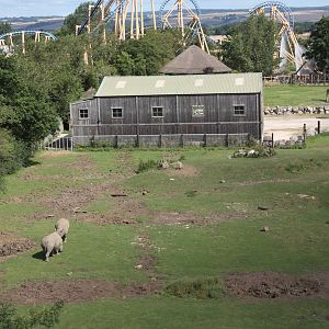 Rhinoceros paadock with second Giraffe House behind, 4th August 2014