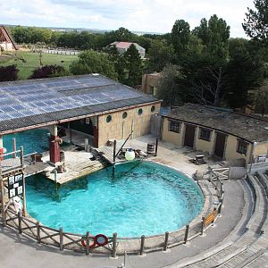 Sealion Centre, 4th August 2014