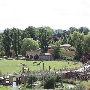 Looking back at the tiger exhibit, 4th August 2014