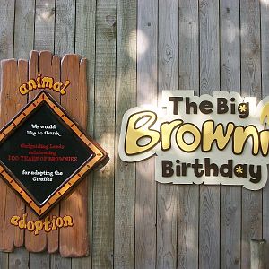 Adoption signage, 4th August 2014