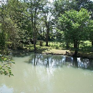 Now the South American lake, 4th August 2014