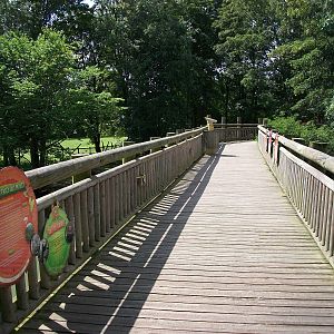 Tree Top Walk, 4th August 2014