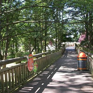 Tree Top Walk, 4th August 2014