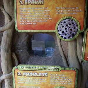 Reptile River signage, 4th August 2014