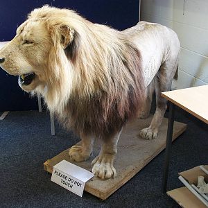 Carlon is still serving the zoo, 4th August 2014