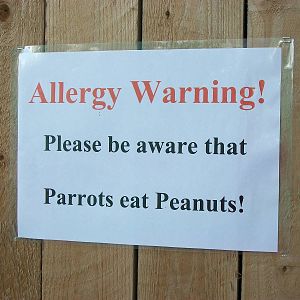 Signage in Bird Show Theatre, 4th August 2014