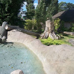 Otter exhibit, 4th August 2014