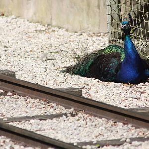 About to receive a rude awakening, 4th August 2014