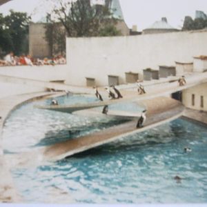 Lubetkin Penguin Pool