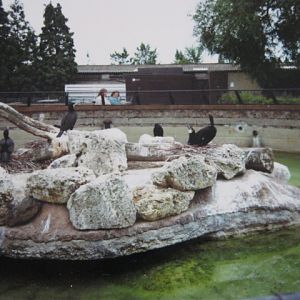 Former Seal Pool 1990.