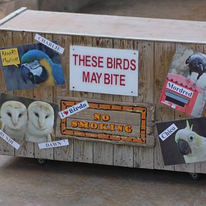 Parrot Performance table, 4th August 2014