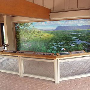 Whooping Crane Exhibit