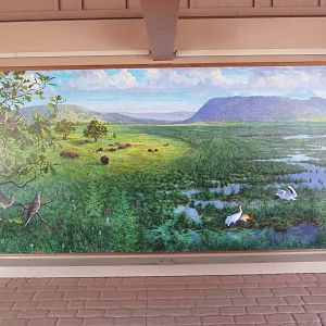 Whooping Crane Exhibit - Mural