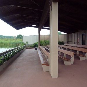 Whooping Crane Exhibit