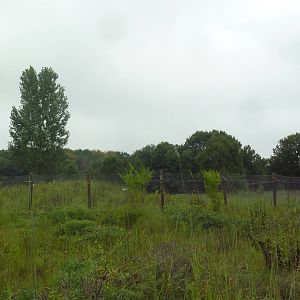 Whooping Crane Exhibit - Viewing Area
