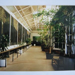 Old Bird House inside 6th October 1999.