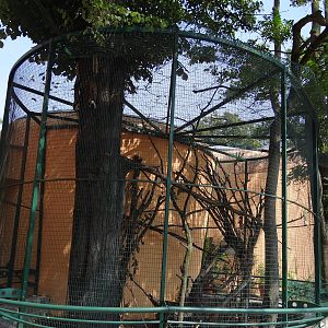 Black Giant Squirrel enclosure