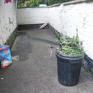 Lovely and tidy outside the zoo kitchen, 8th August 2014