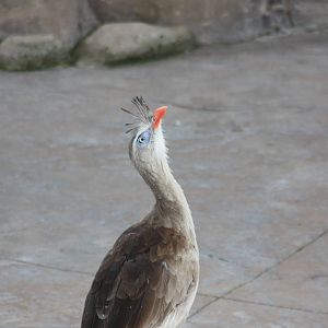 Jose ready for action, 4th August 2014