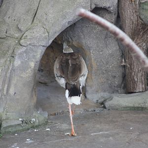 Jose exits stage left, 4th August 2014