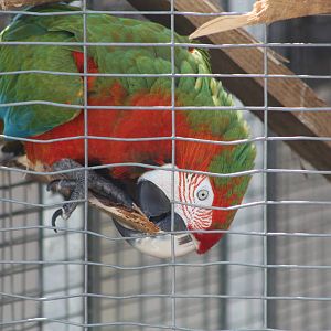 Reuben, 4th August 2014