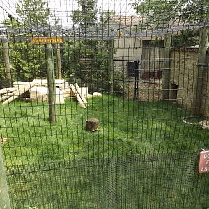 Snow Leopard Exhibit (Renovated in spring 2014)