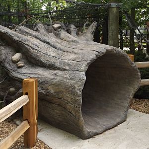 New Viewing Log - Cougar Exhibit