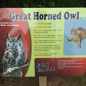 New Great Horned Owl Info Sign