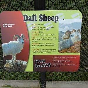 Dall Sheep Info Sign
