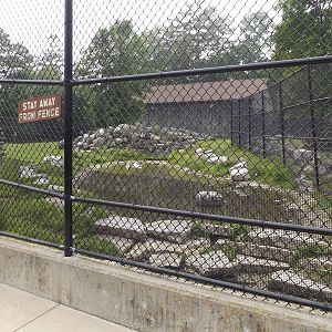 Dall Sheep, Geese, and Turkey Exhibit Pond